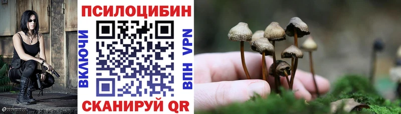 Псилоцибиновые грибы мицелий  shop официальный сайт  Балабаново  продажа наркотиков  гидра ссылки 